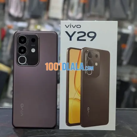 vivo-y29