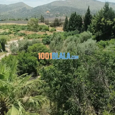 إعلان عقاري