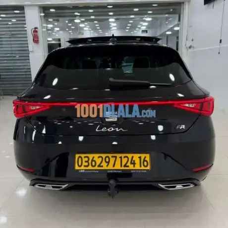 lion-de-2024