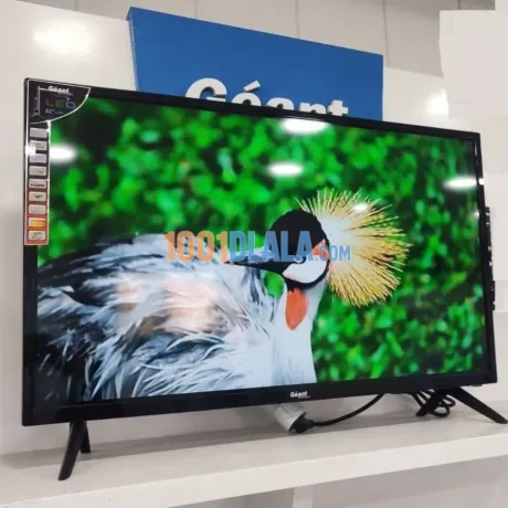 televiseur-geant-32-pouces-image-2