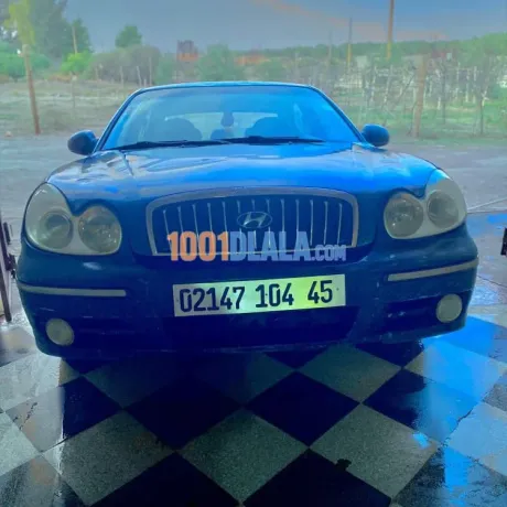 hyundai-sonata-2004